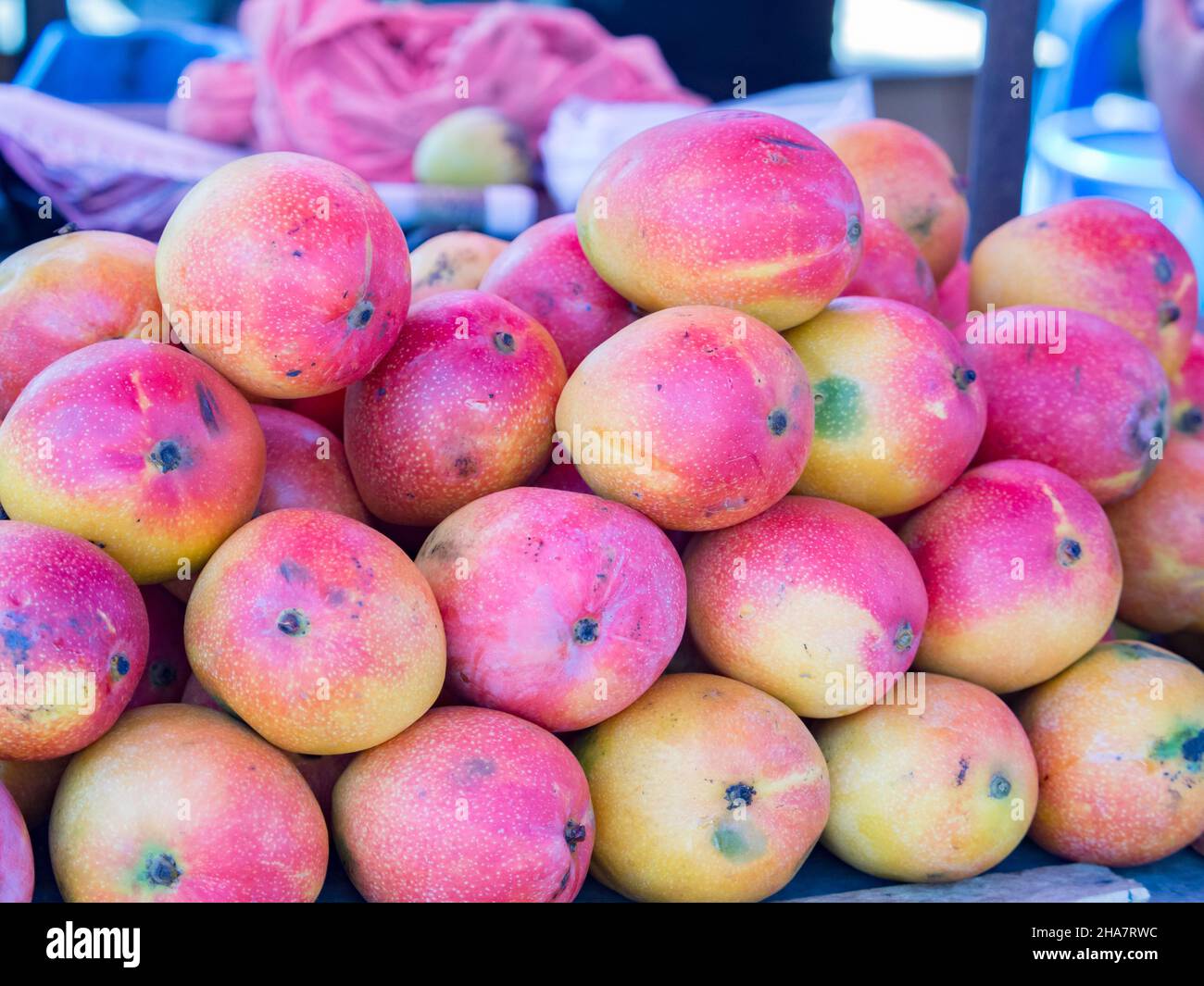 Mangoes in the market hi-res stock photography and images - Page 9 - Alamy