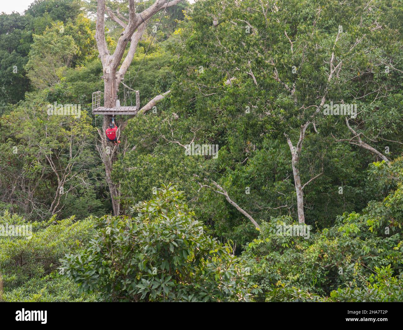 Brazilian amazon jungle aerial hi-res stock photography and images - Alamy