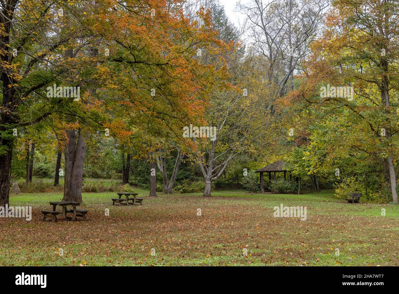 Wooden benches and table in the middle of a forest in autumn Stock ...