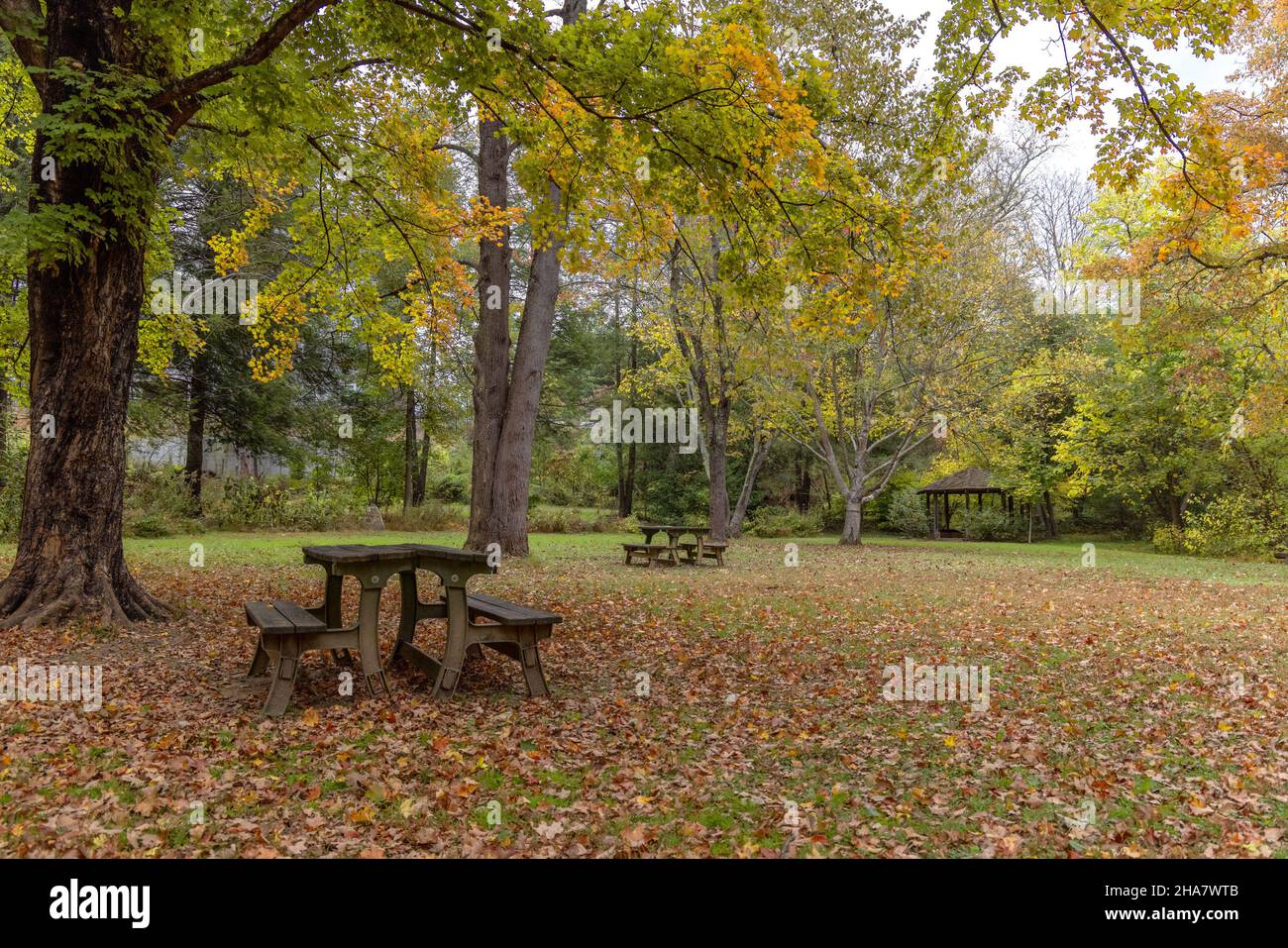 Wooden benches and table in the middle of a forest in autumn Stock ...