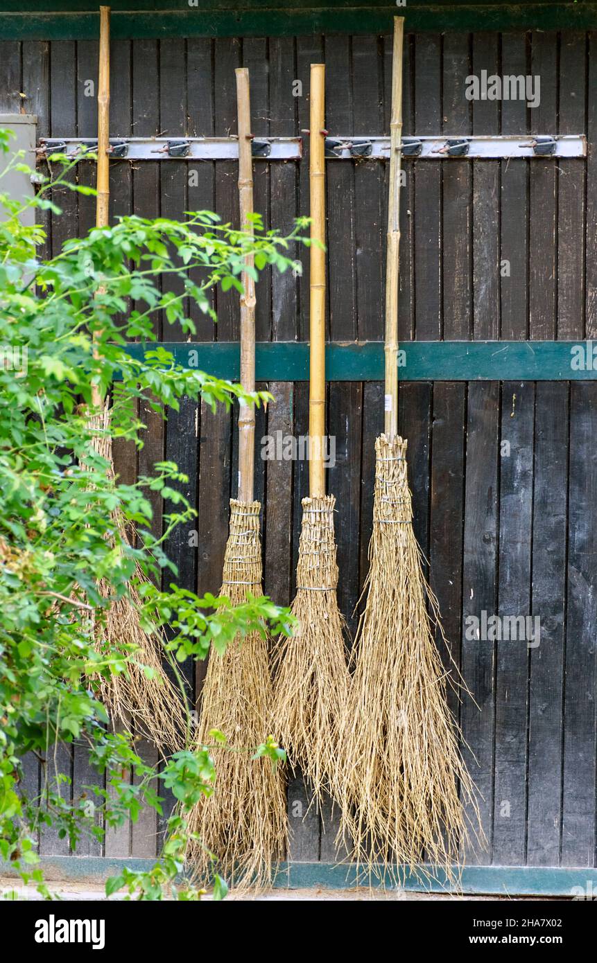 some besom brooms hanging upright on a dark wooden wall Stock Photo