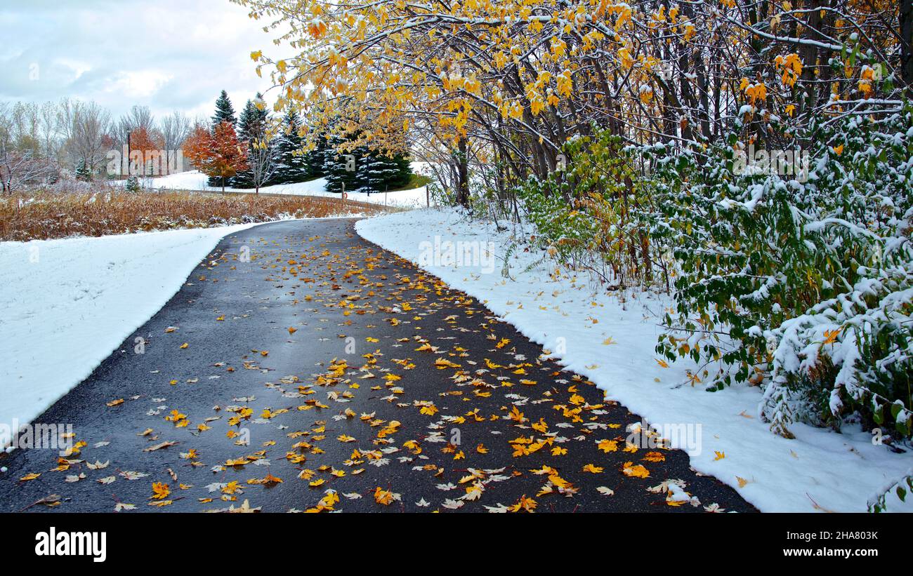 The footpath in the park with melting of freshly fallen snow in the winter. Stock Photo