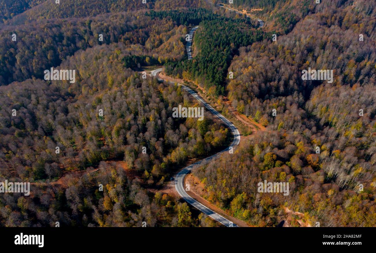 Asphalt road in forest flying hi-res stock photography and images - Alamy