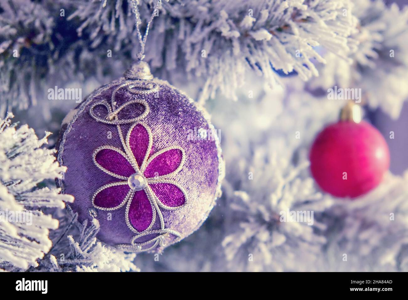 Snowy branch of christmas tree with violet gray fabric christmas ball with flower and glitter decorations close up and blurred red ball on background. Stock Photo
