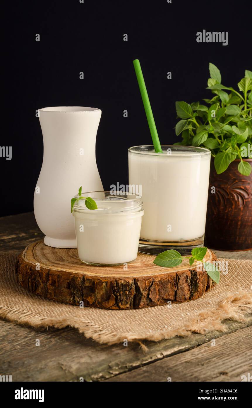 Dairy starter culture for the preparation of fermented milk products