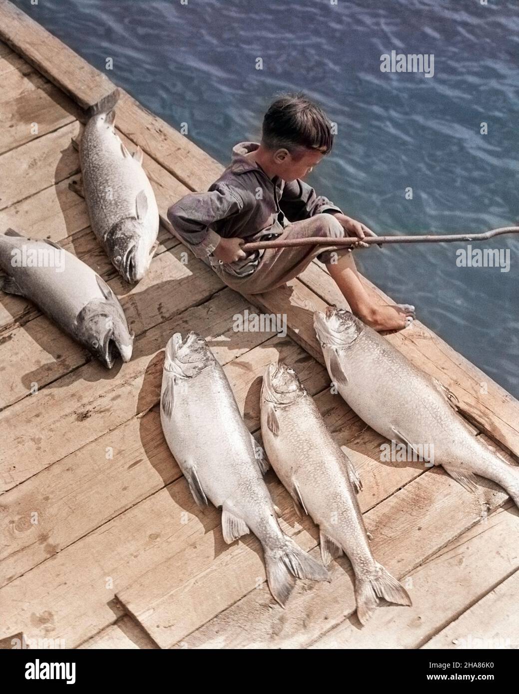 1930s BOY SEATED ON DOCK WITH 5 LARGE FISH FISHING WITH STICK POLE - a5341c  HAR001 HARS SKILL ACTIVITY AMUSEMENT HAPPINESS FISHING POLE HIGH ANGLE  HOBBY INTEREST HOBBIES KNOWLEDGE RECREATION PASTIME PLEASURE