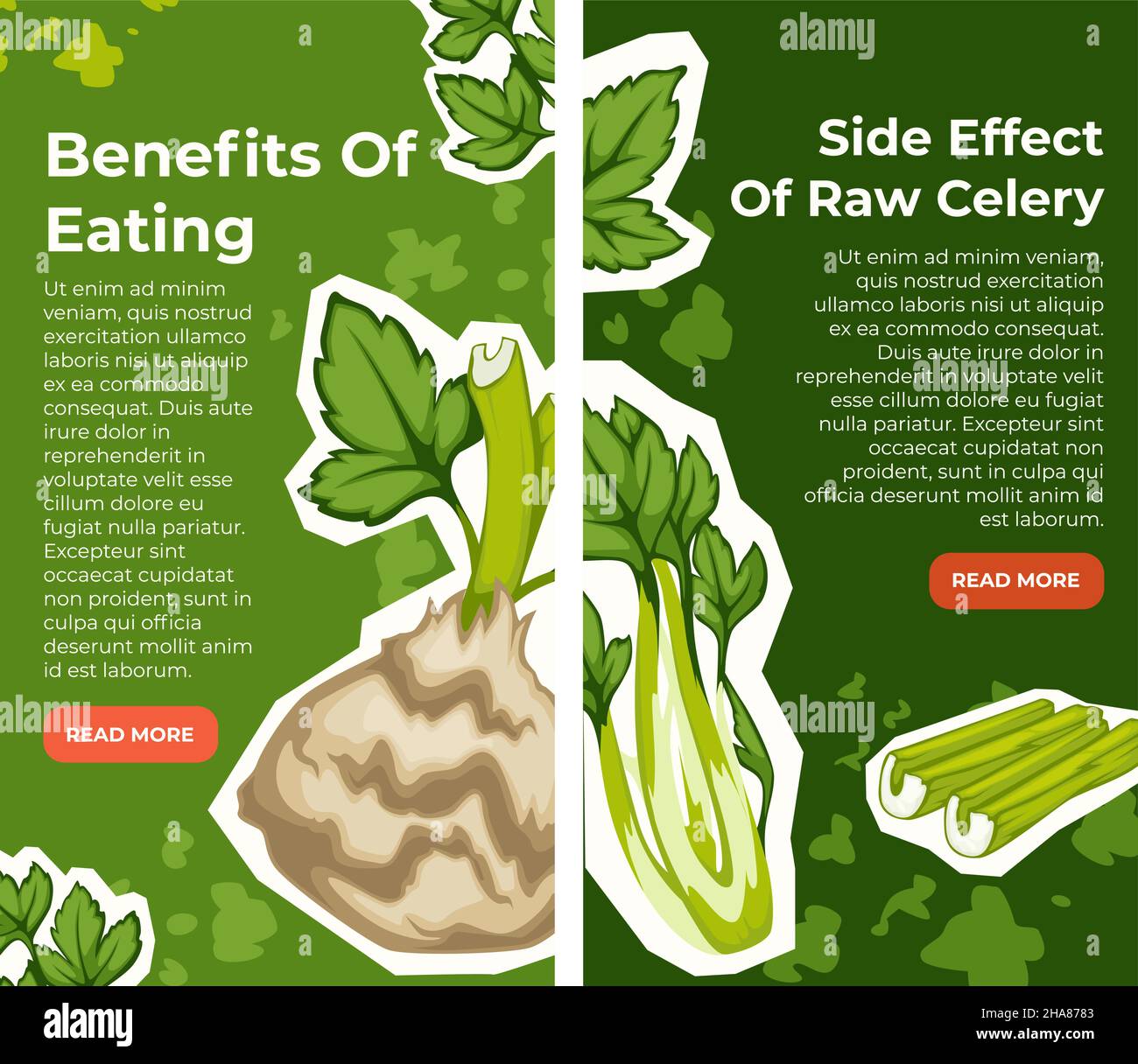 Side effects and benefits of eating celery, pros and cons including