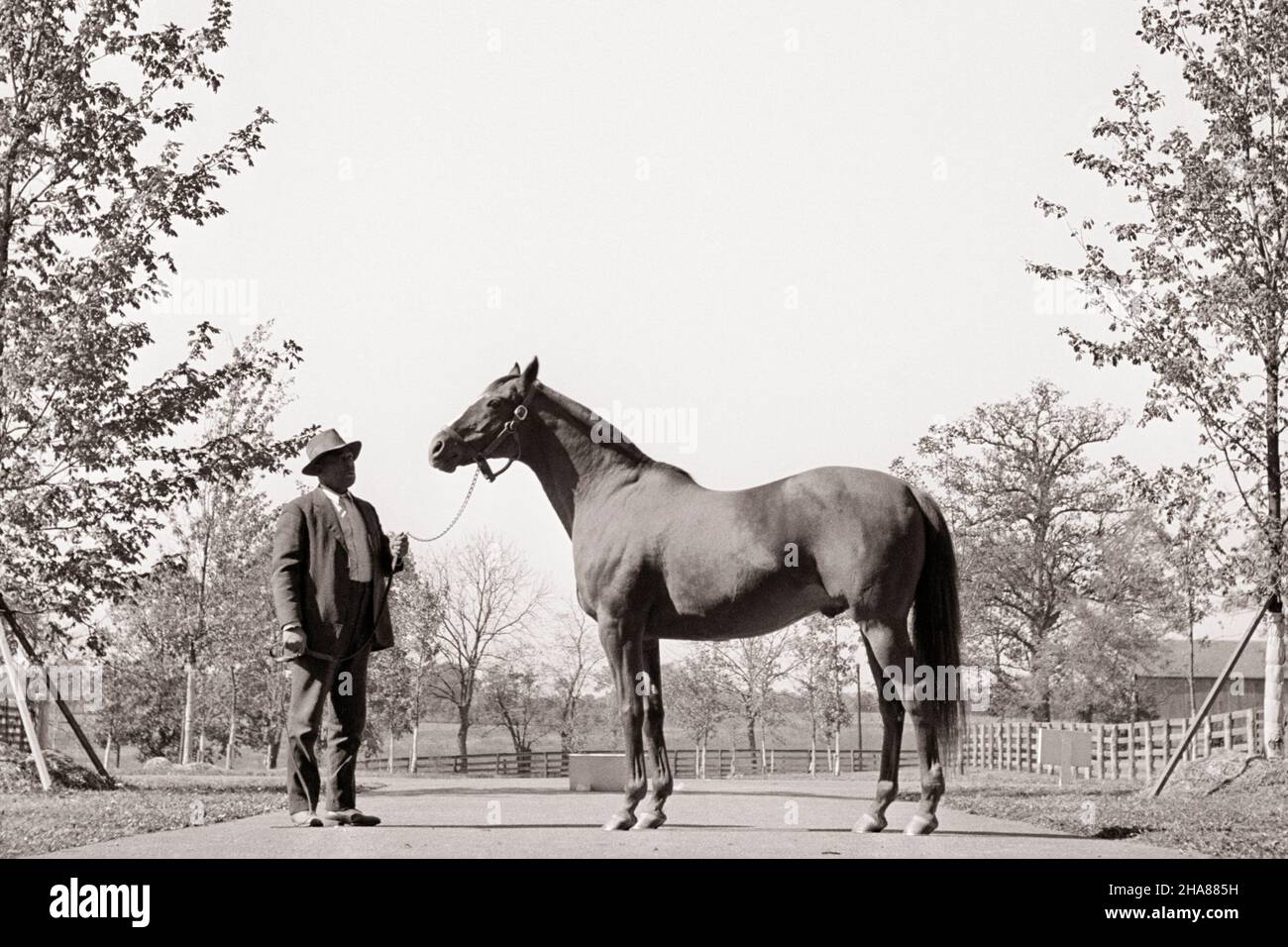 1920s MAN ‘O WAR CHAMPION THOROUGHBRED HORSE WITH GROOM - h1911 LAN001 HARS HANDLER MAMMAL RACE HORSE STALLION BLACK AND WHITE GRACEFUL OLD FASHIONED Stock Photo