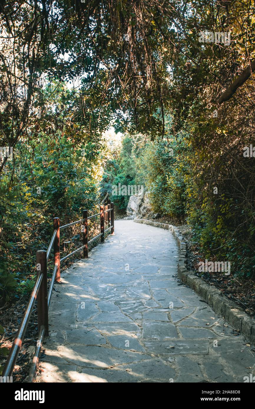 Beautiful shot park light hi-res stock photography and images - Alamy