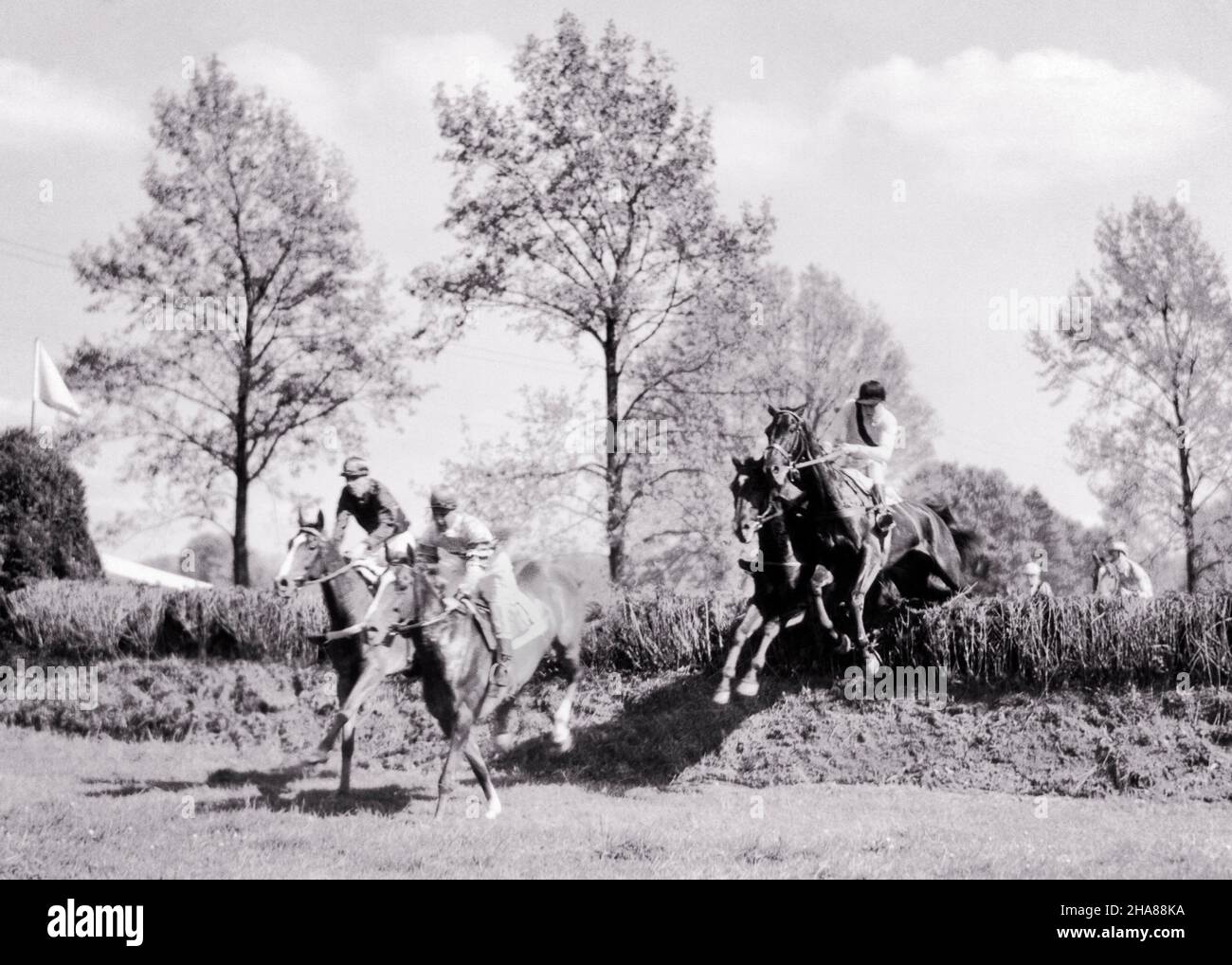 1930s STEEPLECHASE CROSS COUNTRY HORSE RACE FOUR MEN JOCKEYS TAKING HORSES OVER A HEDGE HURDLE OBSTACLE - h5643 HAR001 HARS LIFESTYLE SPEED CELEBRATION JOBS RURAL COPY SPACE FULL-LENGTH PERSONS MALES RISK ATHLETIC DISTANCE PROFESSION ENTERTAINMENT CONFIDENCE JOCKEY B&W SUCCESS WIDE ANGLE SKILL OCCUPATION SKILLS MAMMALS ADVENTURE HEDGE STRENGTH COURAGE CAREERS EXCITEMENT OBSTACLE POWERFUL RECREATION PRIDE A OPPORTUNITY OCCUPATIONS PROFESSIONAL SPORTS CROSS COUNTRY MOTION BLUR CONCEPTUAL JOCKEYS DITCH STYLISH HURDLE STEEPLECHASE FENCES MAMMAL MID-ADULT MID-ADULT MAN BLACK AND WHITE Stock Photo