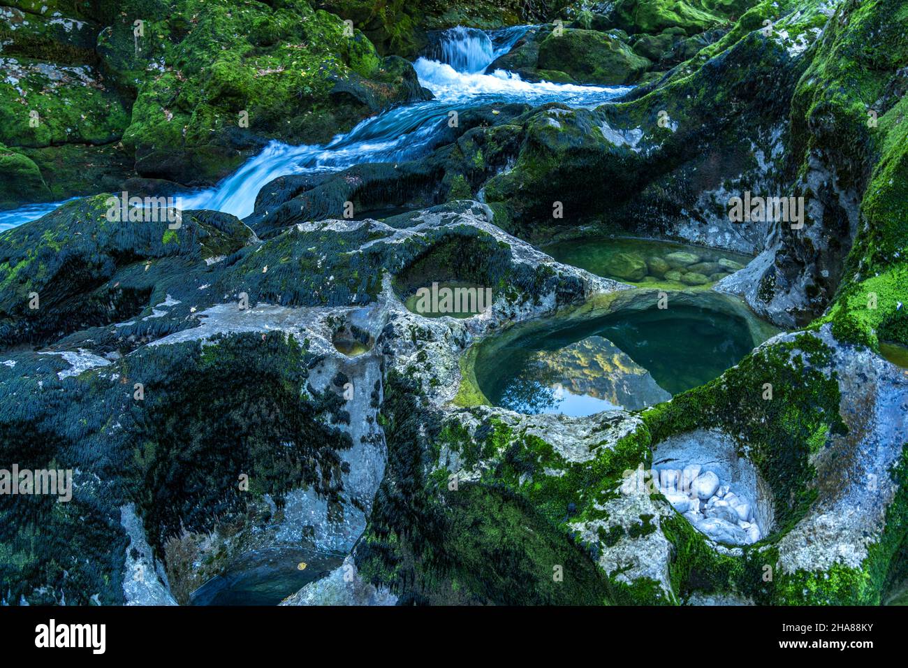 Natürliche Pools  am Fluss Crnojevic bei Rijeka Crnojevica, Montenegro, Europa  |   Natural pools at  Rijeka Crnojevica river near Rijeka Crnojevica, Stock Photo