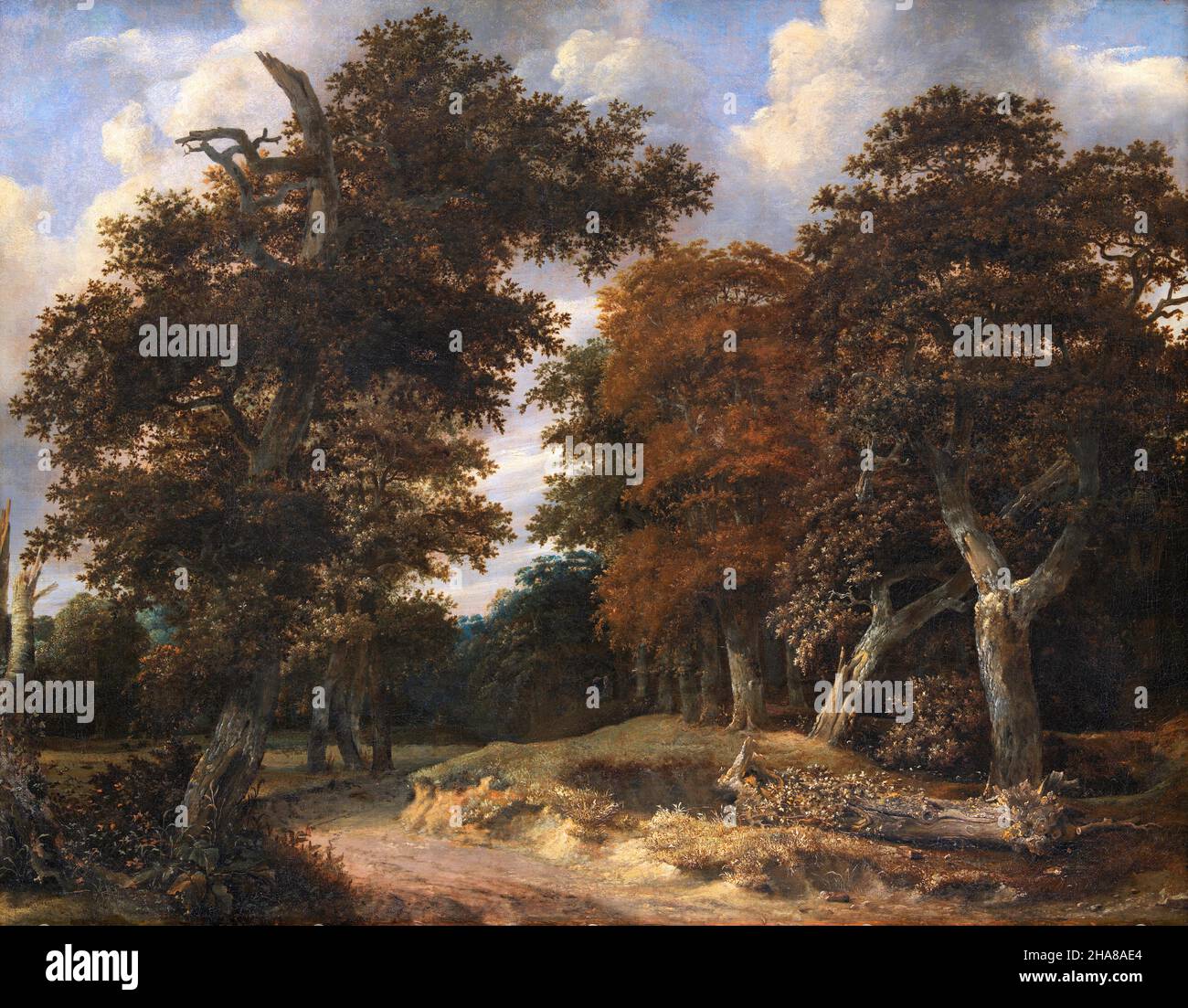 Jacob van Ruisdael. Painting entitled "Road through an Oak Forest" by