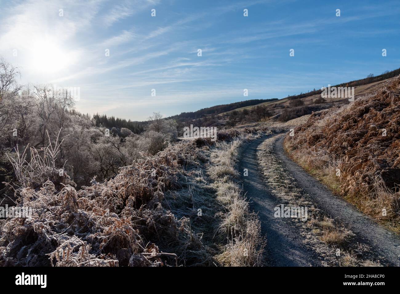 Frost on the trees in Glen Tilt and Glen Garry, Killiecrankie, Cairngorms, Scotland Stock Photo