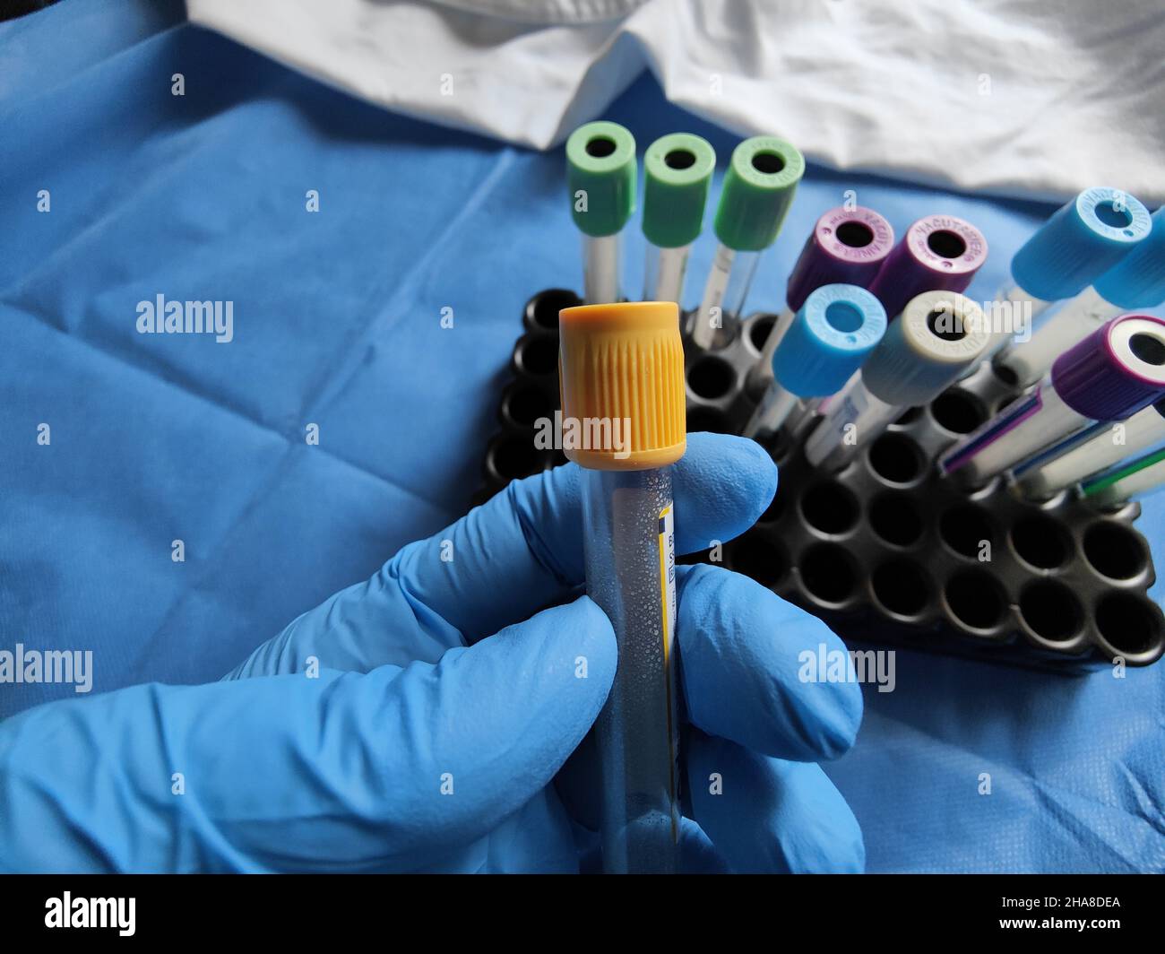 Laboratory technician handling test tubes Stock Photo Alamy
