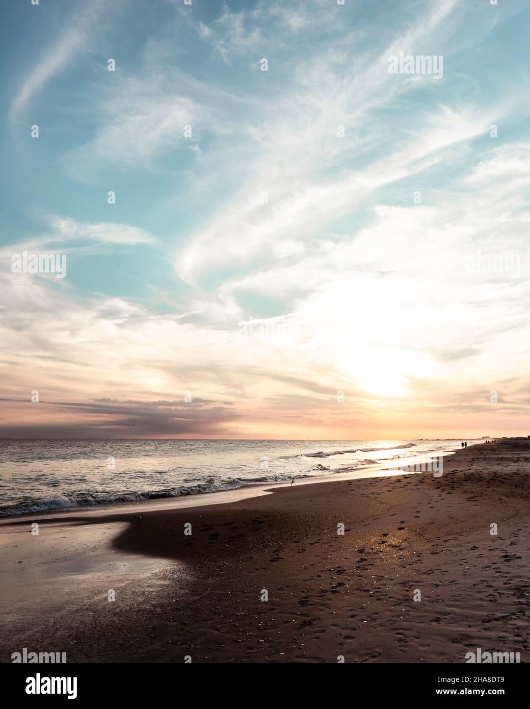 Jersey Shore Print, Beach, Crab, Ocean Photography Sunset, Ocean