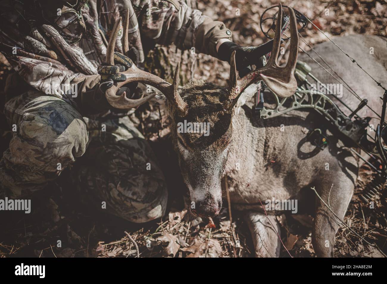 Teen boy holding dead 8 point buck head up in Wisconsin woods Stock Photo