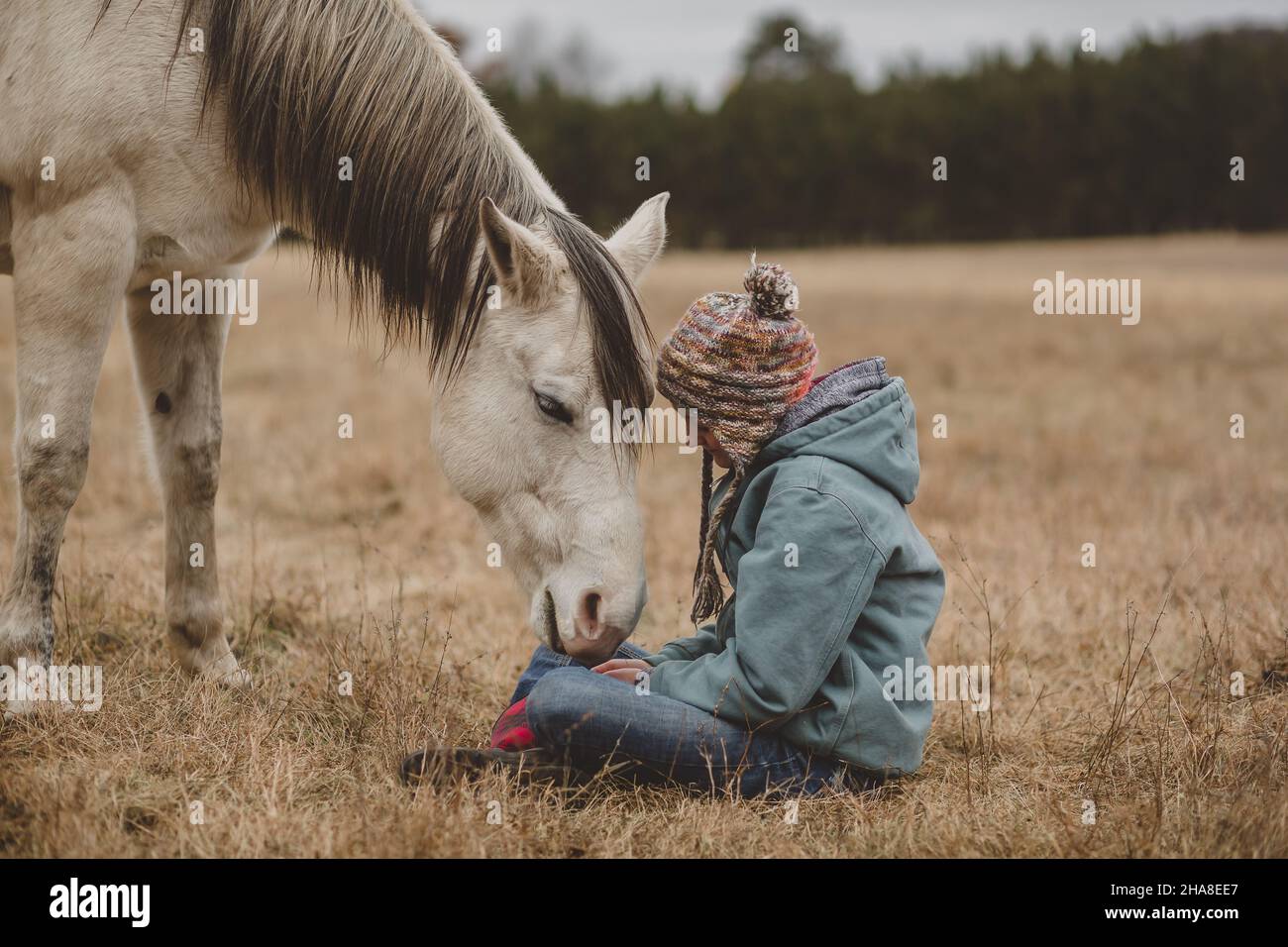 Horse smelling teen girls hands Stock Photo