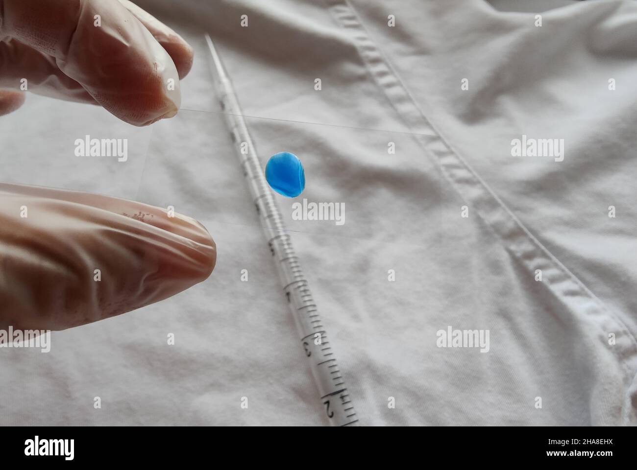 Laboratory personnel handling a sample Stock Photo Alamy