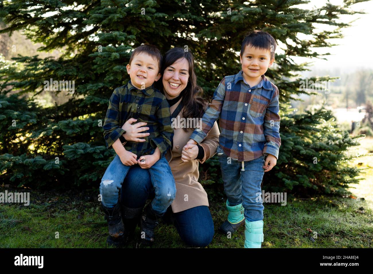 Happy mom with boys in front of christmas Tree on Farm Stock Photo