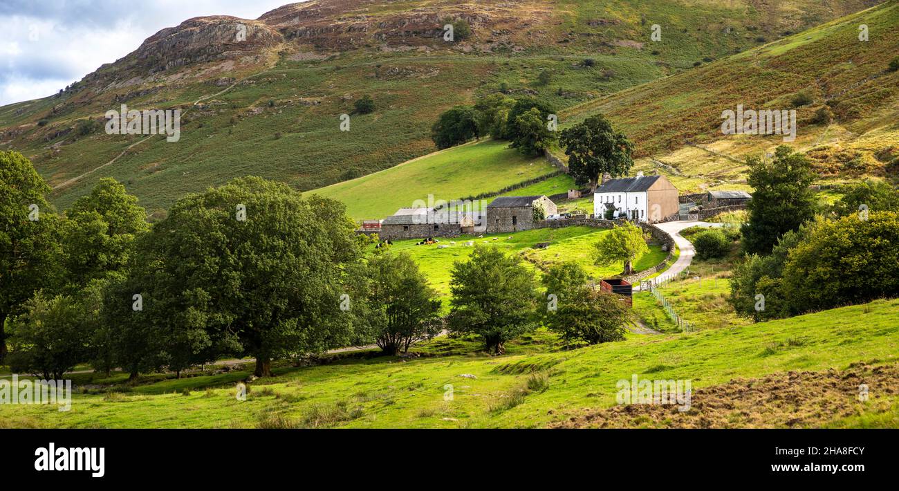 UK, Cumbria, Allerdale, Keswick, Thwaite House farm below Ashness Fell, panoramic Stock Photo