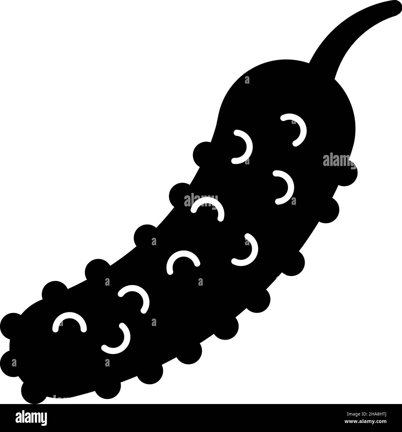 Cucumber plant Black and White Stock Photos & Images Alamy