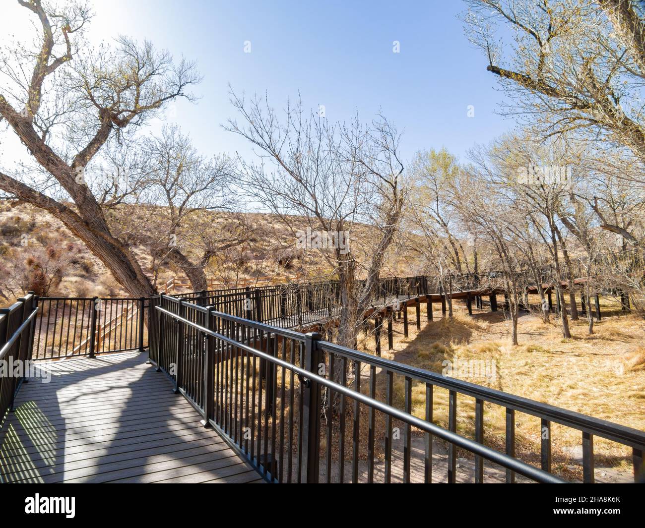 Sunny view of the landscape in Calico Basin Trail at Nevada Stock Photo ...