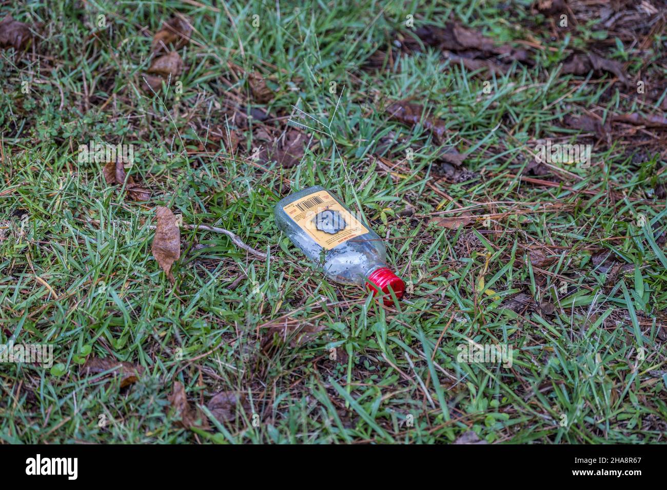 Empty mini fireball whiskey bottle dumped on the ground after use ...