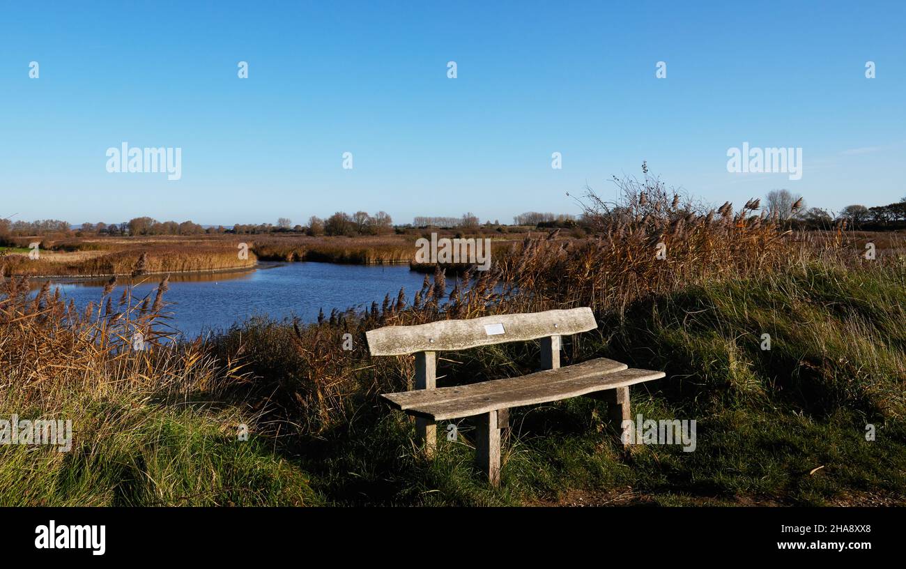 Lagoon with reeds seen at Pagham harbour nature reserve Stock Photo Alamy