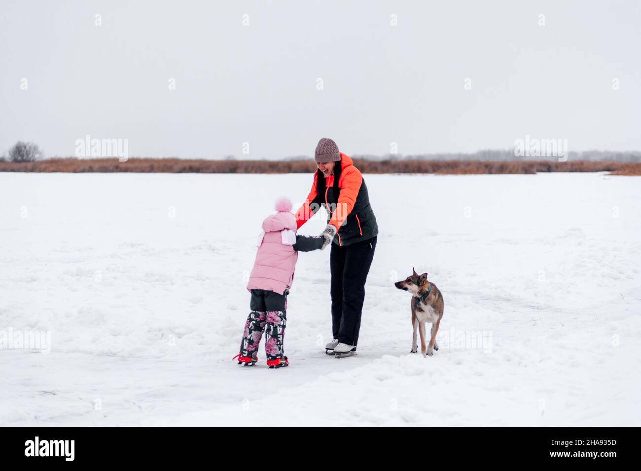 Family on walk in winter. Young woman teaches little girl to skate on frozen lake on frosty winter day, big dog is playing nearby Stock Photo