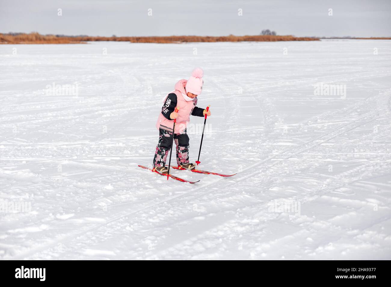 Little girl is skiing. Child in pink warm suit learns to ski snow on frosty winter day, winter landscape, snow background Stock Photo