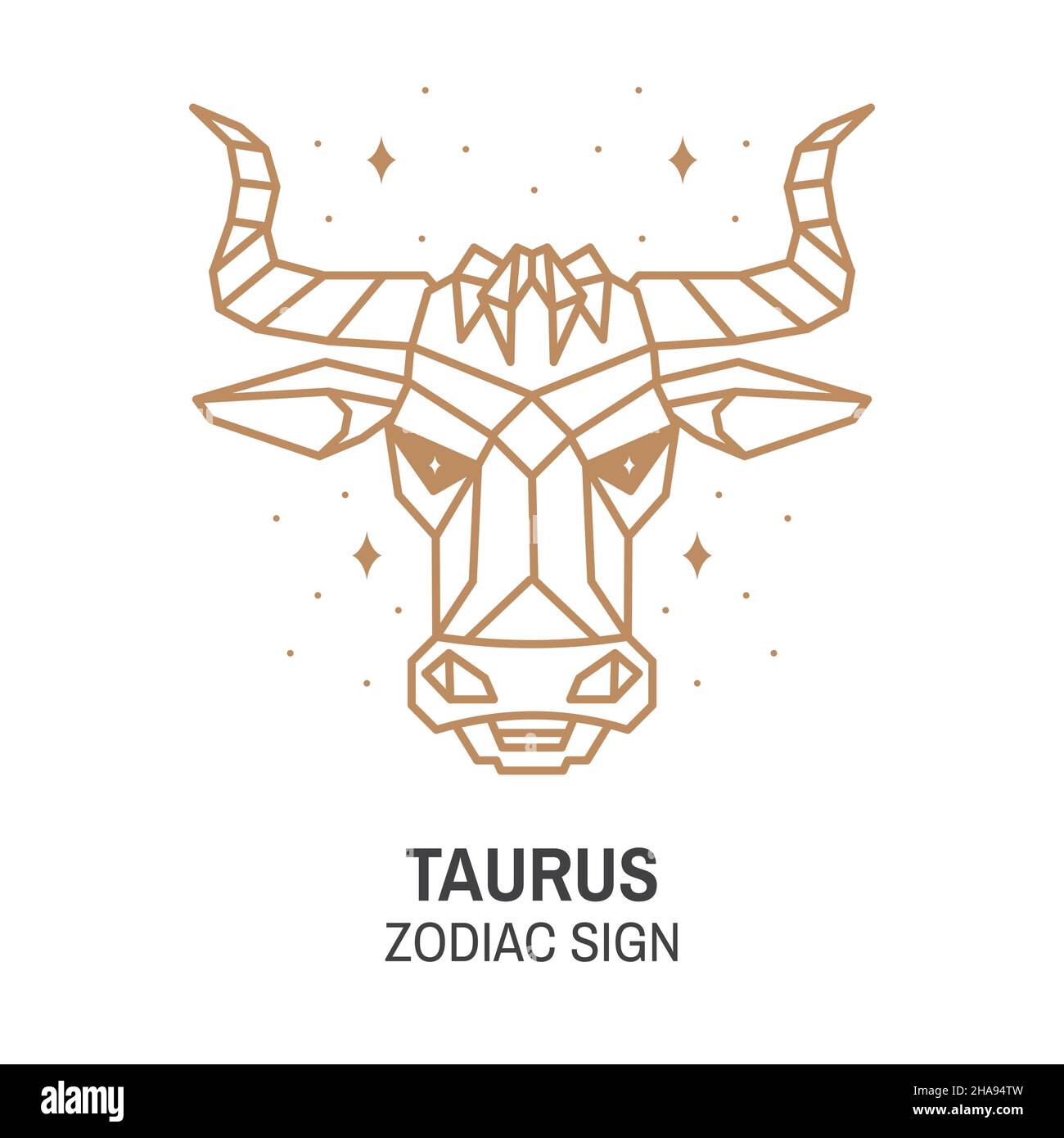 Zodiac astrology horoscope sign taurus linear design. Vector