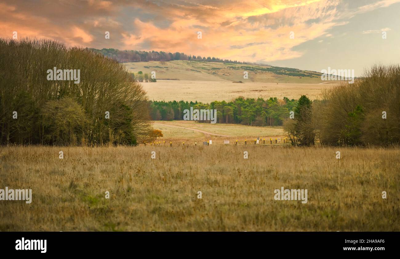 treelined meadow and grasslands with a dramatic sunset on sidbury hill, Tidworth Wiltshire UK Stock Photo