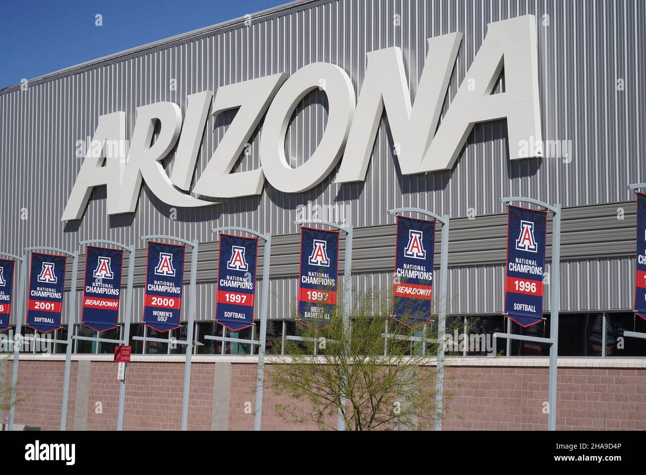 Arizona Wildcats NCAA championship banners for softball (1996, 1997 and 2001), men's basketball (1997)  women's golf (2000) are seen at the Cole and J Stock Photo