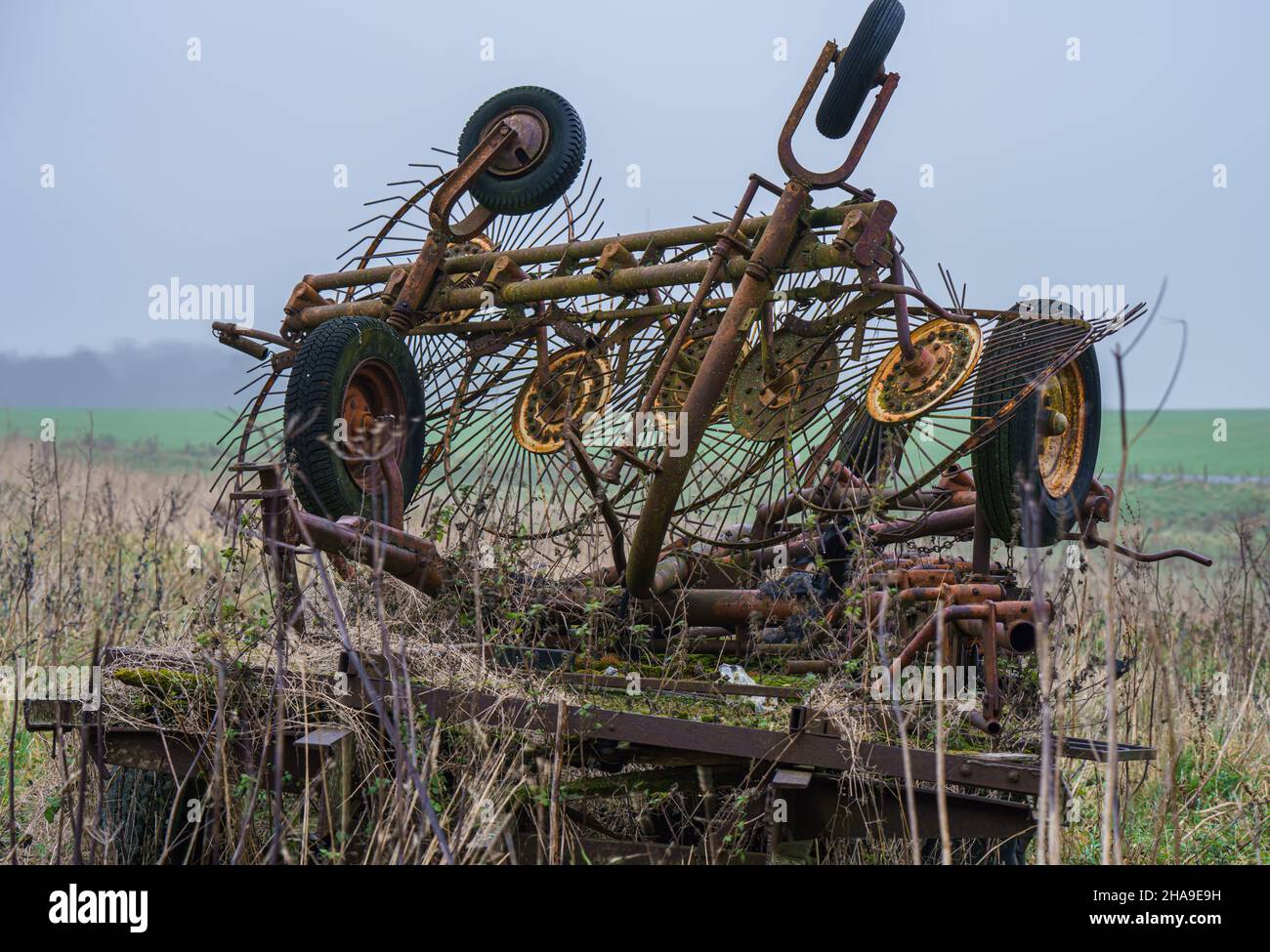 an old abandoned, rusting, overgrown farm equipment machinery rake and thresher tractor attachment, Wiltshire UK Stock Photo