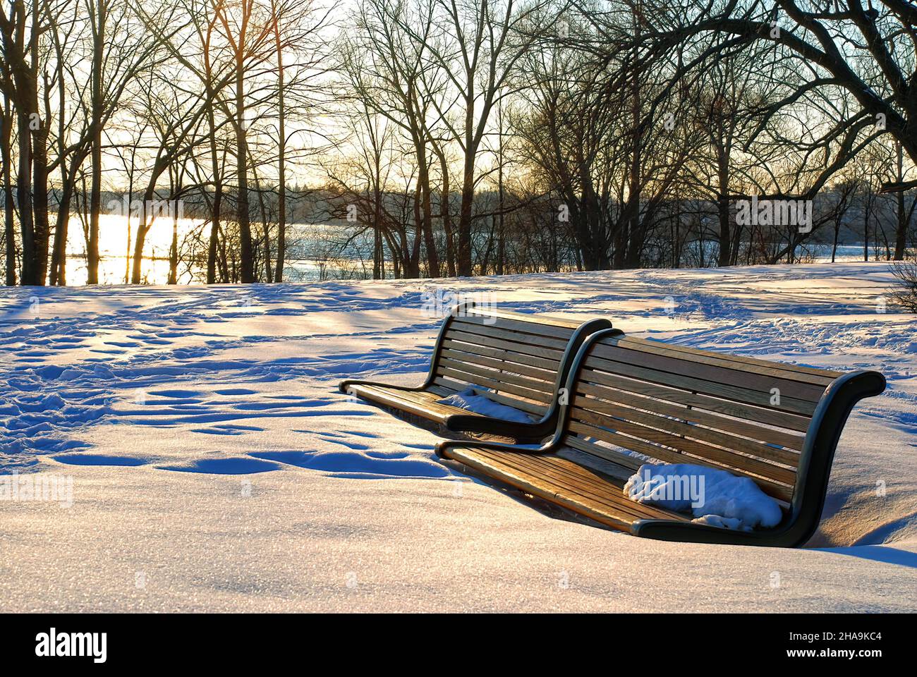 Park benches in heavy snow by a river in winter Stock Photo - Alamy