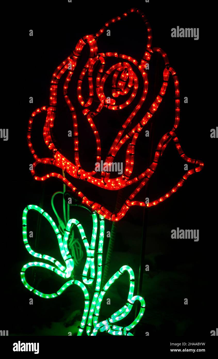 Zoolights Calgary Zoo Alberta Stock Photo Alamy