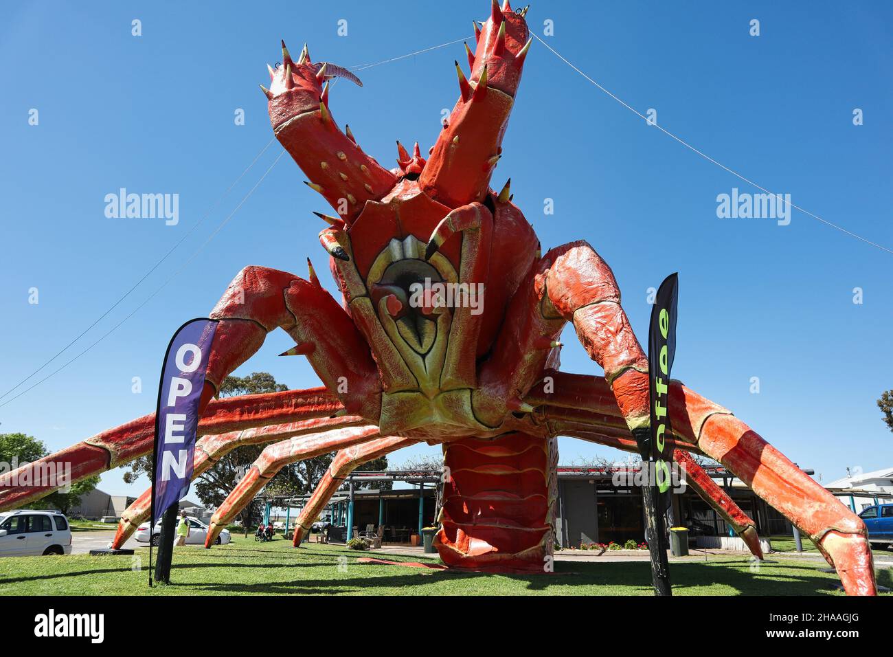 Angled photo of 'Larry the Lobster' big lobster Stock Photo