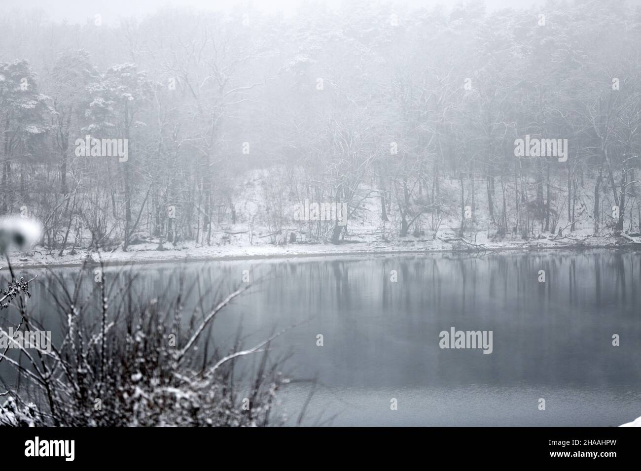 December 11, 2021, MÃ¤rkisch Oderland, MÃ¤rkisch Oderland, Germany: Winter landscape in MÃ¤rkisch Oderland (Credit Image: © Simone Kuhlmey/Pacific Press via ZUMA Press Wire) Stock Photo