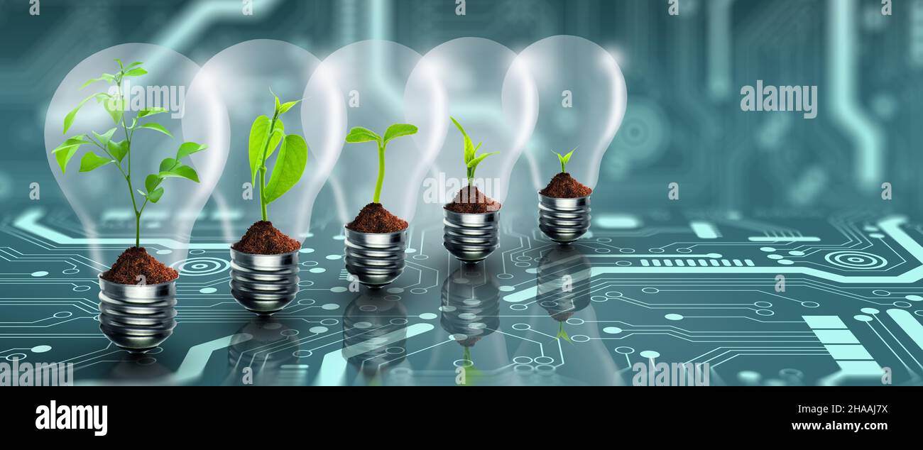 Business Concept Eco Tree Light Energy Power High Resolution Stock  Photography and Images - Alamy