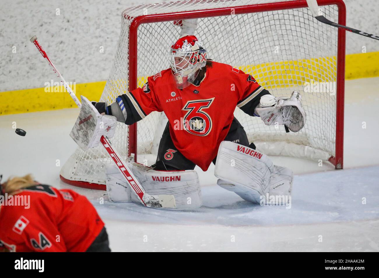 Dec 11, 2021, Toronto Ontario, Canada, York Canlan Ice Arena The