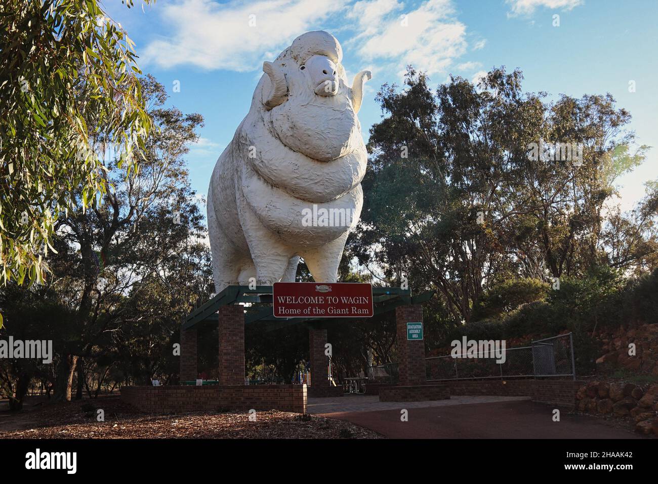 "Baart" The Big Ram of Wagin, Western Australia Stock
