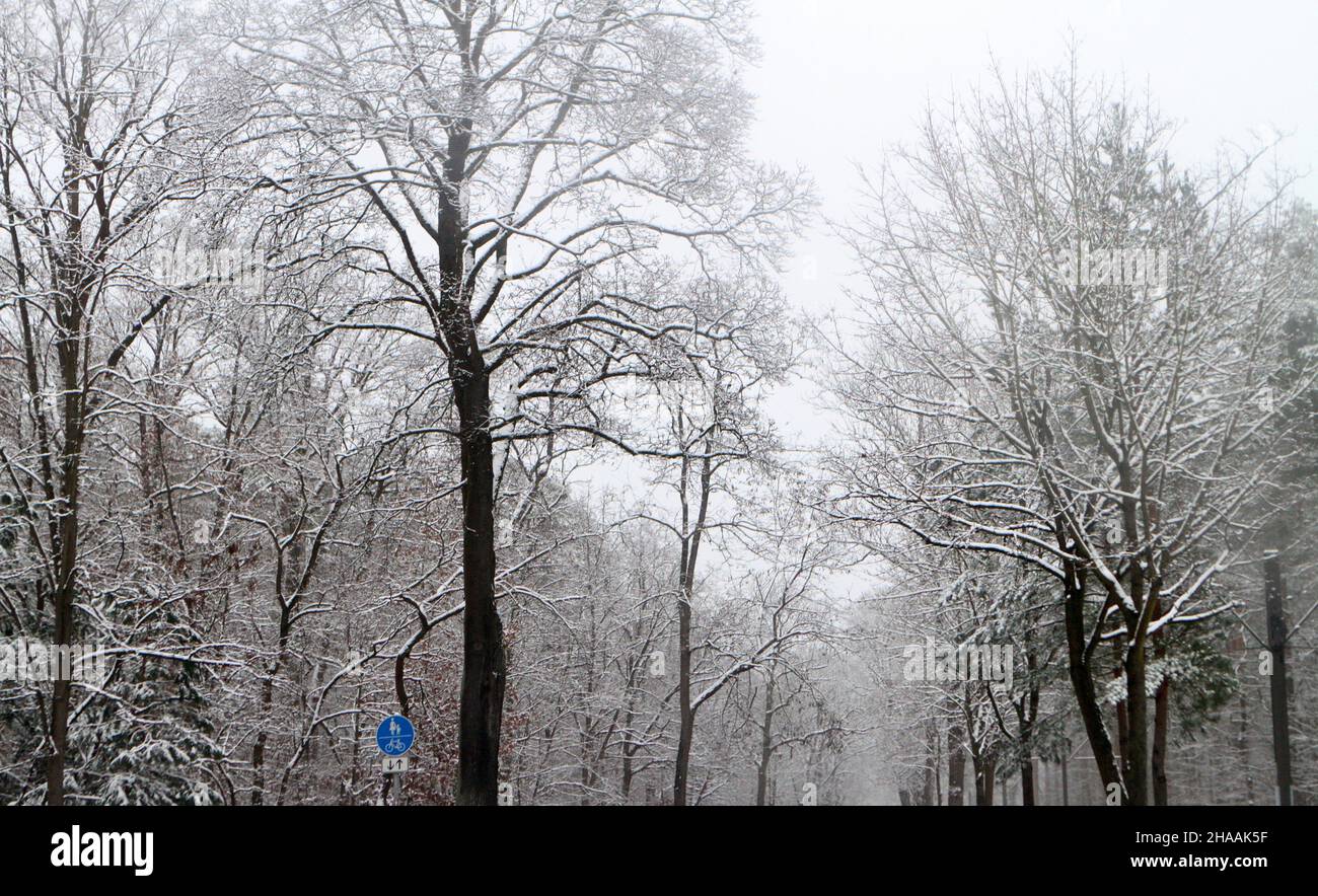 December 10, 2021, MÃ¤rkisch Oderland, MÃ¤rkisch Oderland, Germany: Winter landscape in MÃ¤rkisch Oderland (Credit Image: © Simone Kuhlmey/Pacific Press via ZUMA Press Wire) Stock Photo