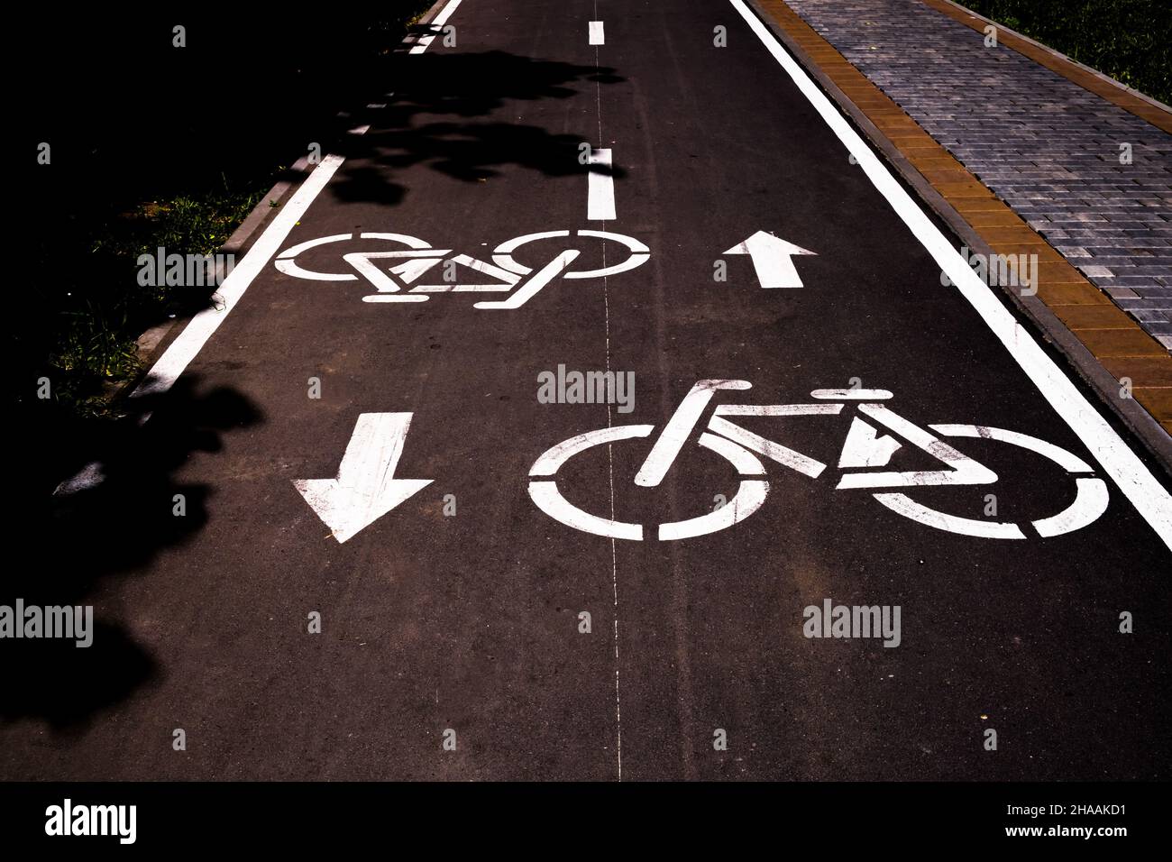 A bike lane in the park. High quality photo Stock Photo