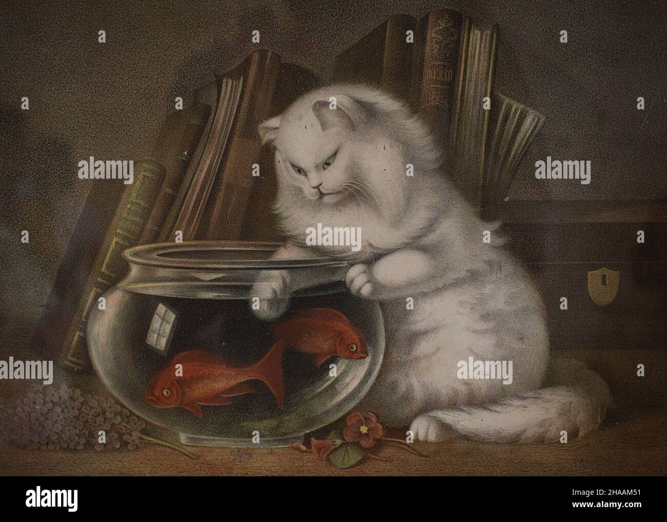 old painting of a cat with a goldfish bowl Stock Photo - Alamy