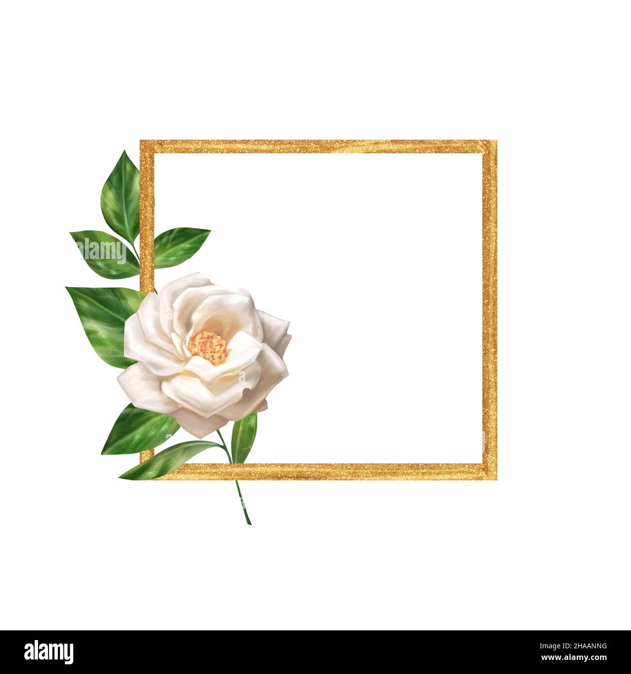 Card Frame With Roses White Rose Borders And Frames Roses Red Rose With Bud Transparent Clip