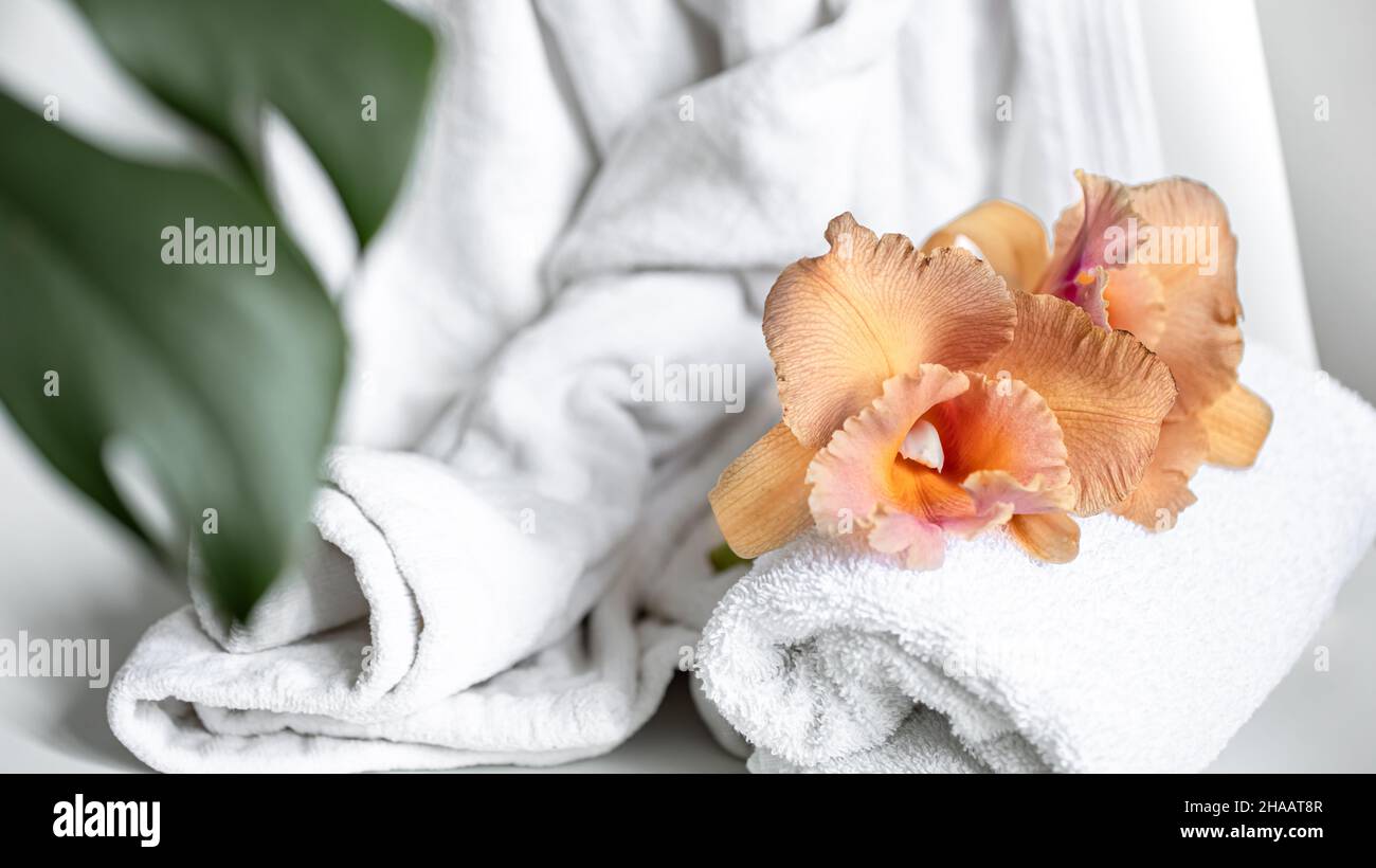 Spa composition with bath accessories and Thai orchid flowers. Stock Photo