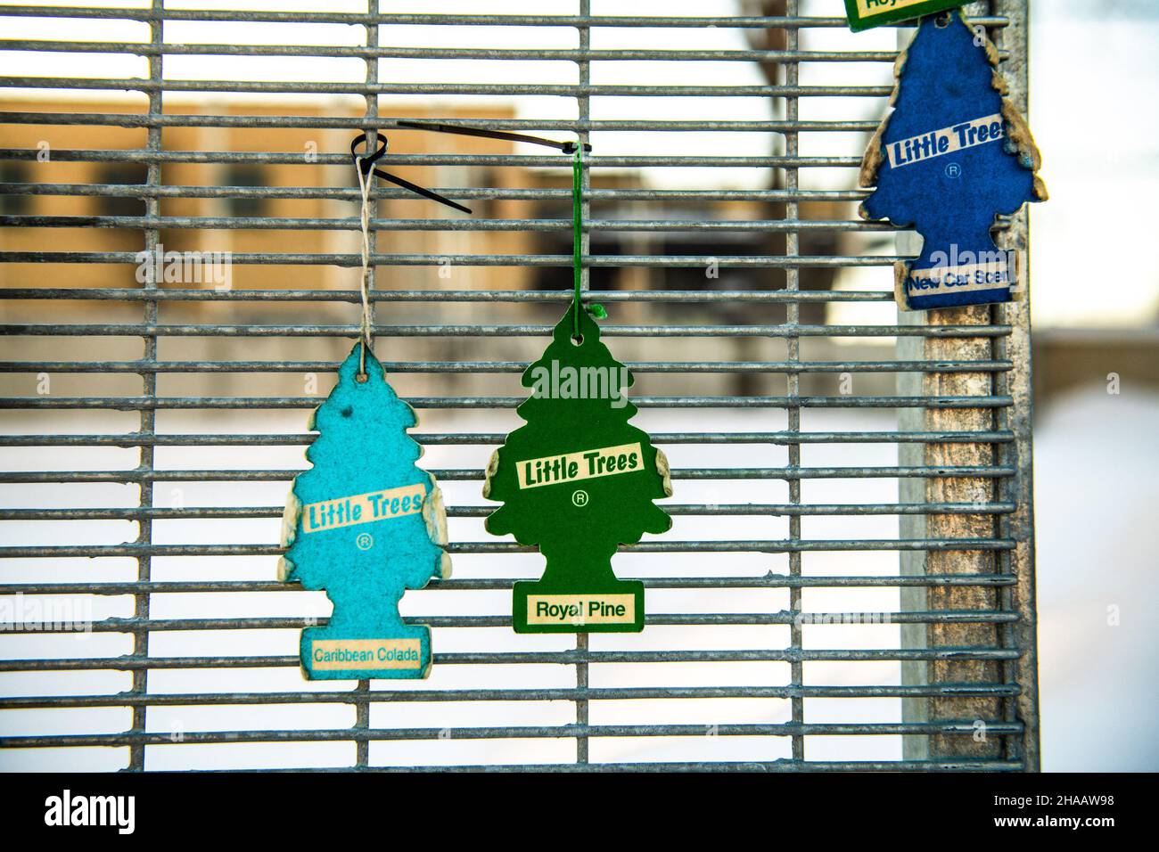 Little Trees air fresheners hang on the fence surrounding the Brooklyn