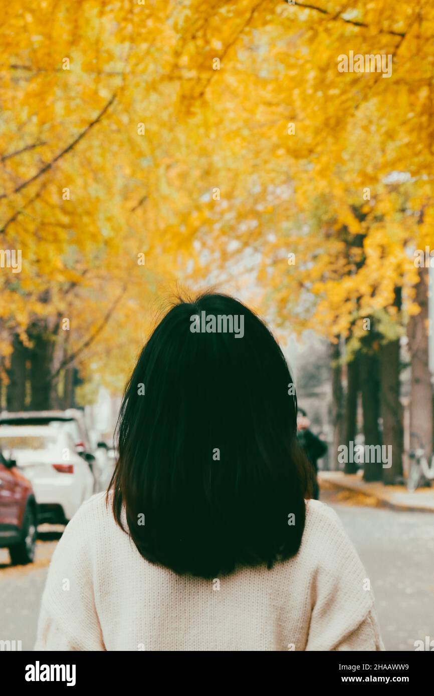 Back of a woman in the foreground looking up at street in the background full of golden ginkgo trees, taking a picture Stock Photo
