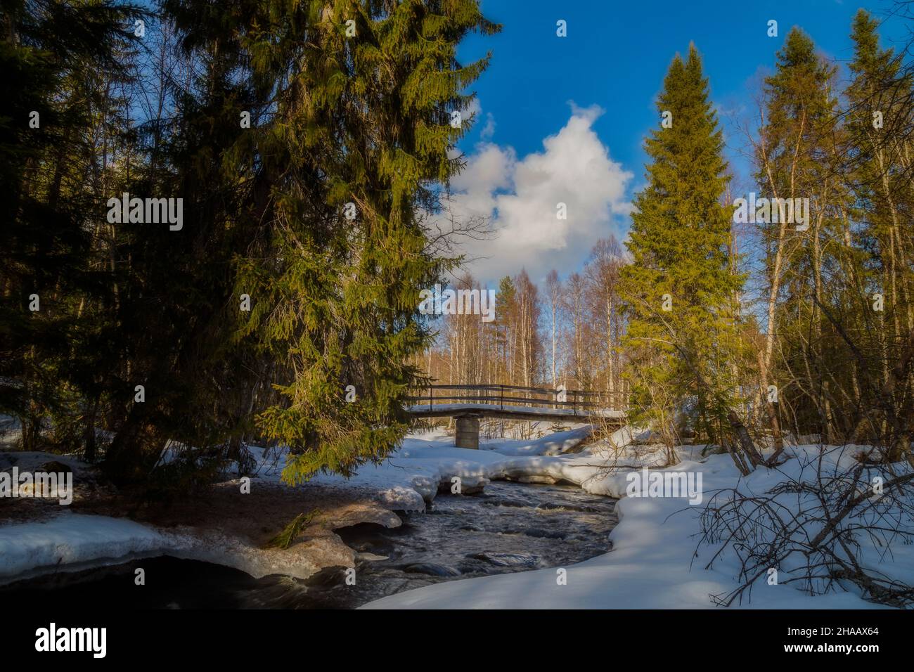 bridge and a river with ice and snow in a forest Stock Photo