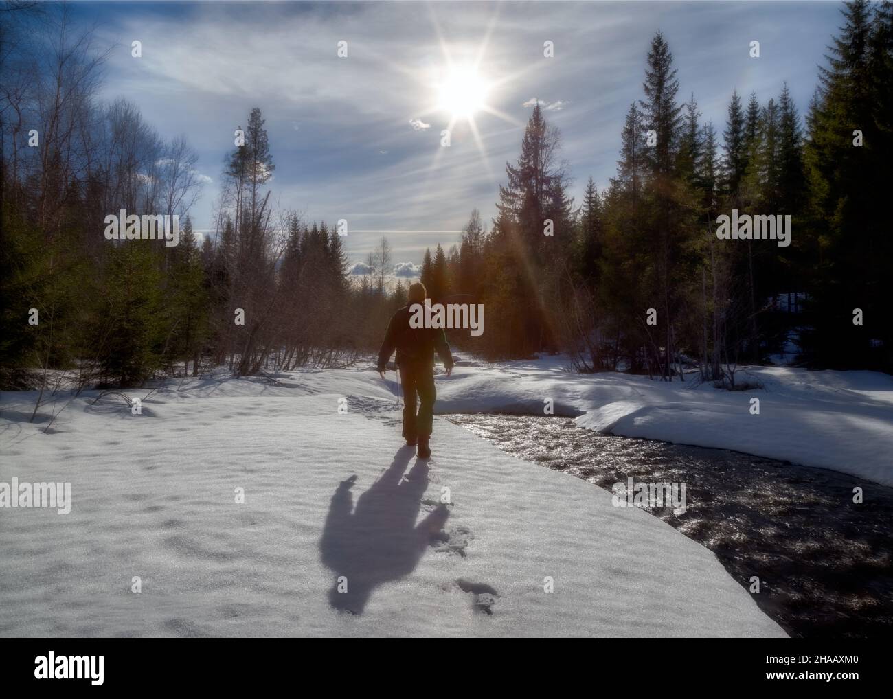 man and a river with ice and snow in a forest Stock Photo